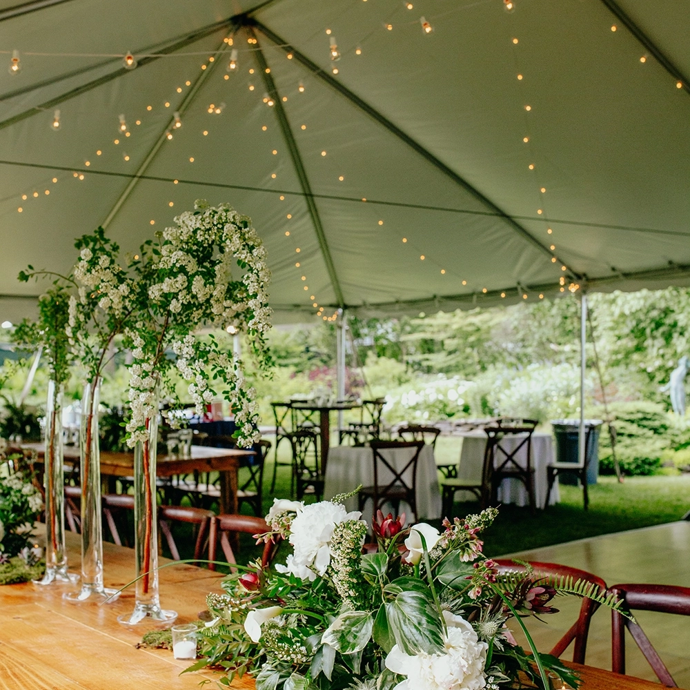 Luxury Wedding Set Up With Tent